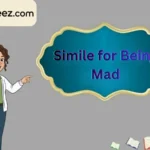 Simile for Being Mad